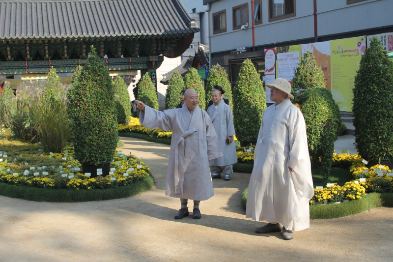 2014.10.10_조계사 국화(사서실) (29)